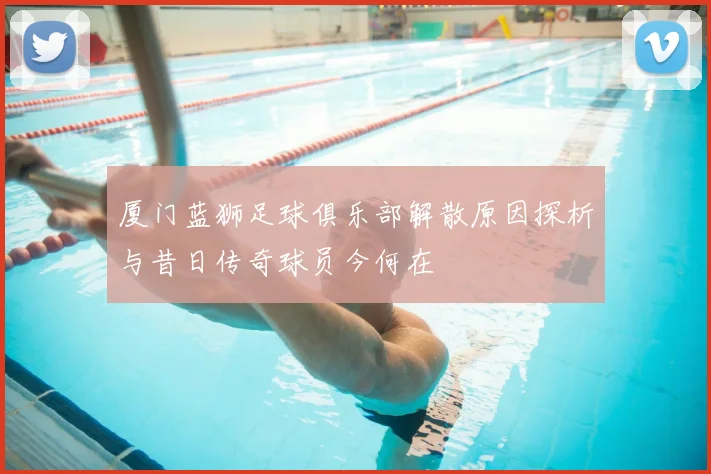 厦门蓝狮足球俱乐部解散原因探析与昔日传奇球员今何在