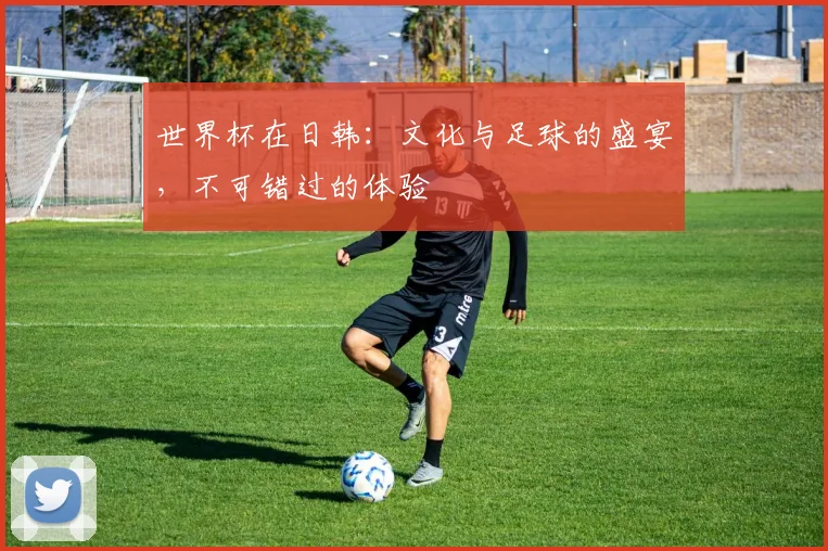世界杯在日韩：文化与足球的盛宴，不可错过的体验