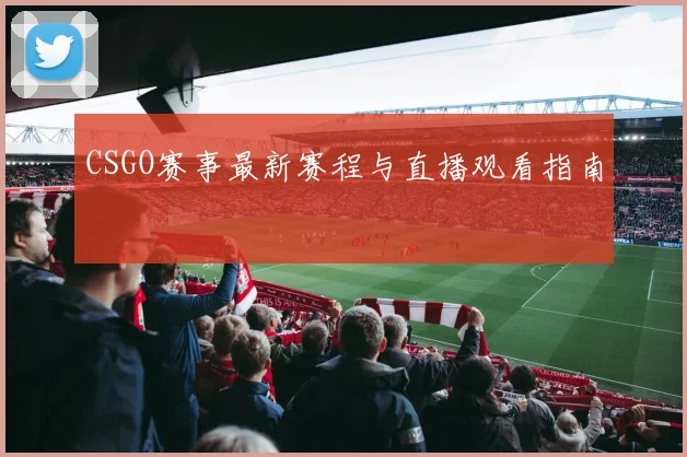 CSGO赛事最新赛程与直播观看指南