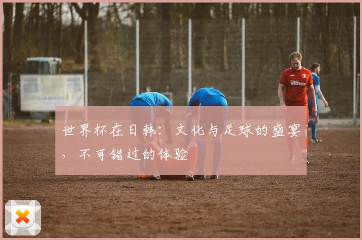 世界杯在日韩：文化与足球的盛宴，不可错过的体验