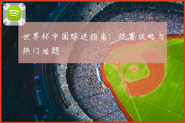世界杯中国球迷指南：观赛攻略与热门话题