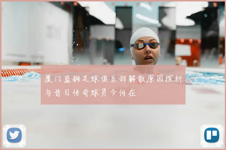 厦门蓝狮足球俱乐部解散原因探析与昔日传奇球员今何在