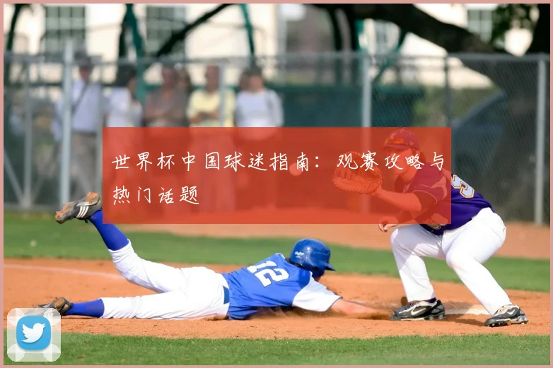 世界杯中国球迷指南：观赛攻略与热门话题